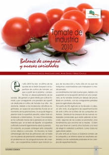 Tomate de industria