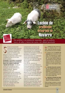Lechón de producción