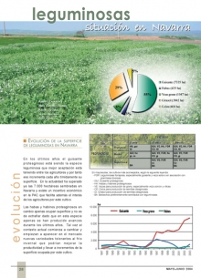 Leguminosas
