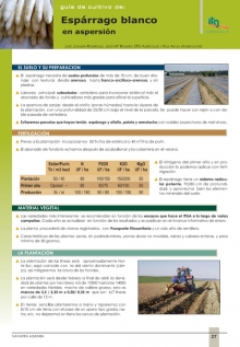 Espárrago blanco en aspersión