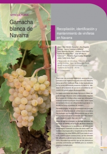 Garnacha blanca de Navarra