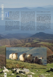 Grandes pastos en común de Navarra