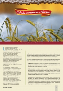 Cebada cervecera en Navarra