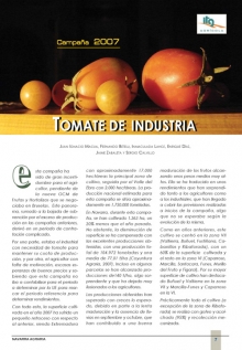 Tomate de industria. 