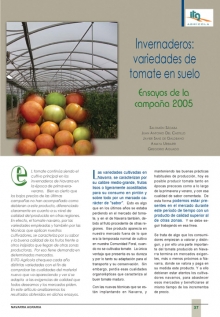Invernaderos: variedades de tomate en suelo