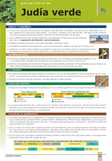 Guía de cultivo de Judía verde