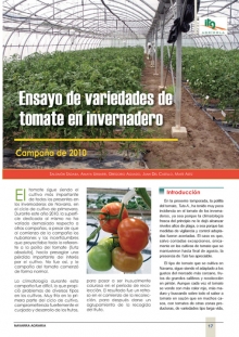 Variedades de tomate 