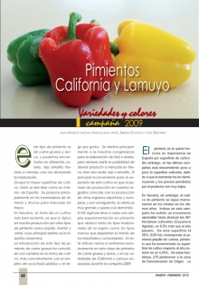 Pimientos California y Lamuyo