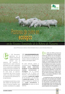 Pastoreo de ovino en ecológico