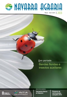 Toda la información en un solo link