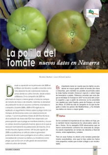 La polilla del tomate