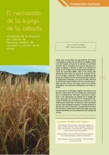 El nematodo de la espiga de la cebada