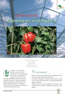 Guía de cultivo del pimiento