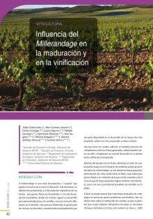 Influencia del Millerandage