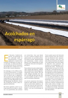 Acolchados en espárrago