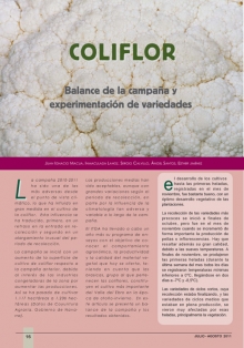 Balanace de la campaña