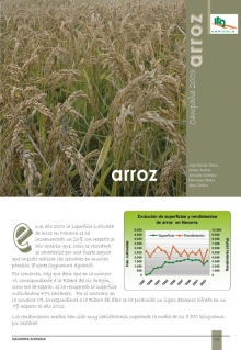 Arroz