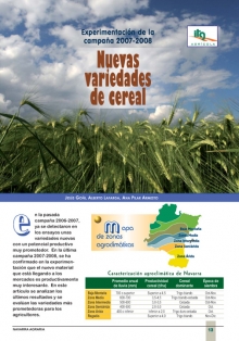 Análisis de la campaña 2007-2008