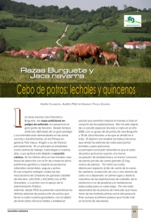 Cebo de potros lechales y quincenos