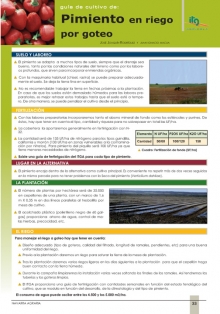 Guía de cultivo de pimiento