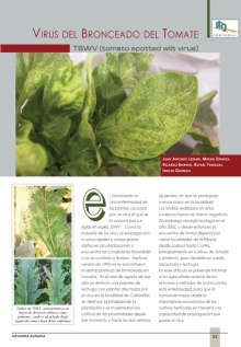 Virus del bronceado del tomate