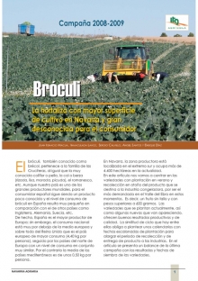 la hortaliza con mayor superficie de cultivo