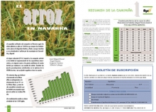 Arroz en Navarra