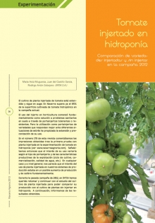 Tomate injertado en hidroponía