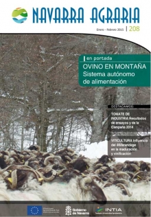 Toda la información en un solo link