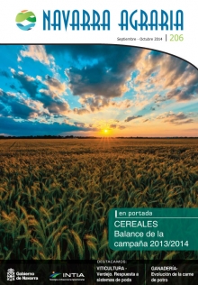 Toda la información en un solo link