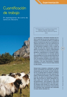 Cuantificación de trabajo