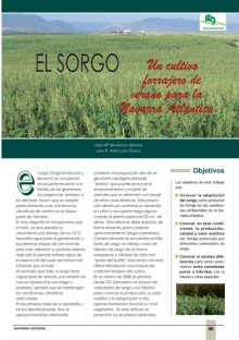 cultivo forrajero de verano