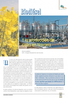 Biodiésel y la producción de colza