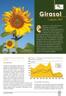 Girasol