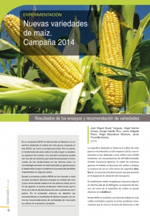 Nuevas variedades de maíz.