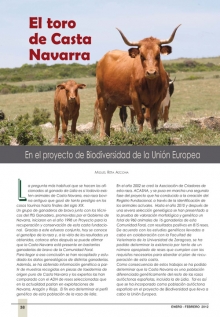 El toro de casta navarra.