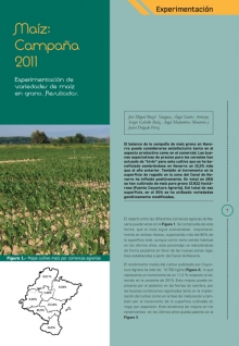 Experimentación de variedades de maíz