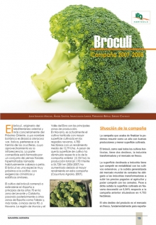Bróculi