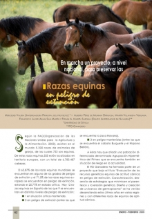 Razas equinas en peligro de extinción 