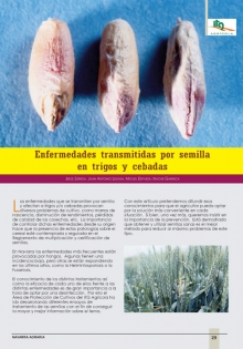 Enfermedades transmitidas