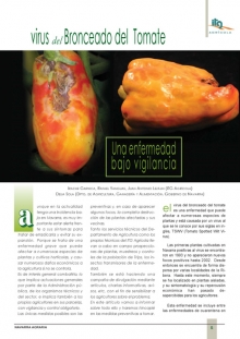 Virus del bronceado del tomate