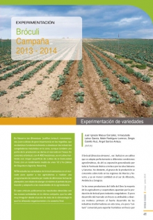 Bróculi. Campaña 2013 - 2014