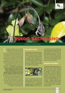 Fuego Bacteriano