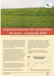 Experimentación de variedades de arroz.