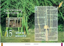 Quince años de selección