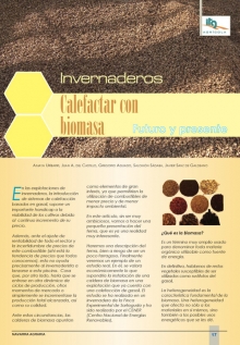 Calefactar con biomasa.