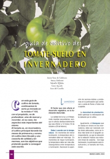 Guía de cultivo de tomate