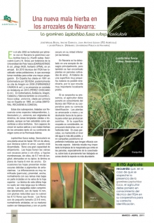 Una nueva mala hierba en los arrozales