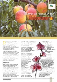 Sistemas de formación en melocotonero