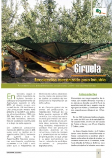 Recolección mecanizada para industria